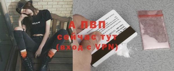 спиды Балахна