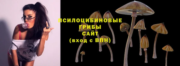 ешки Богданович