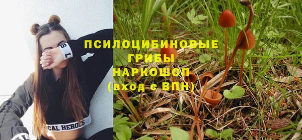 спайс Баксан