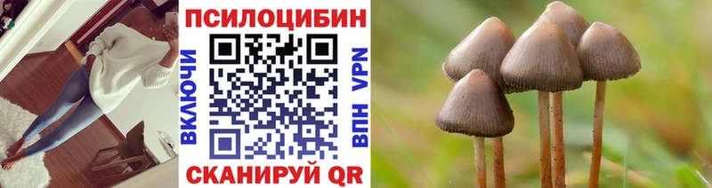 Галлюциногенные грибы GOLDEN TEACHER  что такое наркотик  Гремячинск 